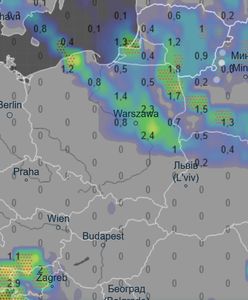 Burza i deszcz. Pogoda nie rozpieszcza