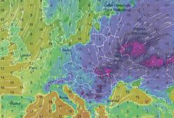 Zabójcze mrozy w Polsce. Rekord to -21 stopni Celsjusza. Zmarło 5 osób