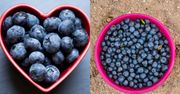 Borówki a jagody. Poznaj najważniejsze różnice między tymi owocami