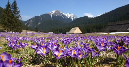 Prognoza Pogody na środę 20 marca. Sprawdź, jaka będzie jutro pogoda w największych miastach w Polsce