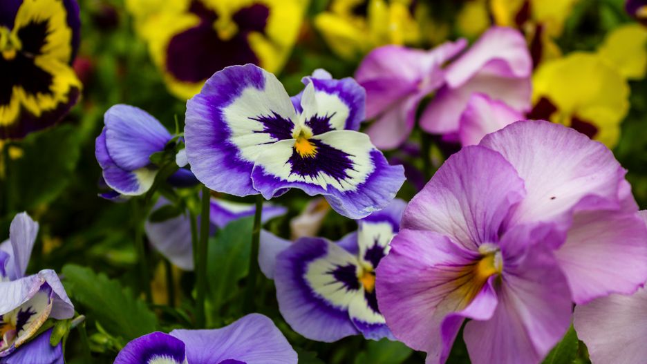 Prognoza pogody na dziś - piątek 5 kwietnia.