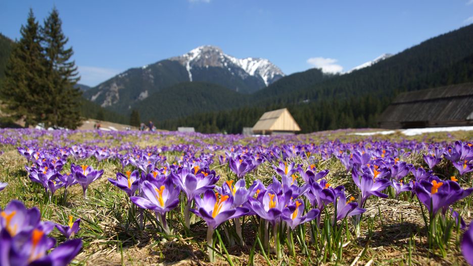 Prognoza pogody na środę 20 marca. Jaka będzie jutro pogoda w Warszawie, Krakowie, Wrocławiu i Gdańsku?