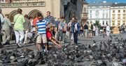 Zagrożeniem dla polskich zabytków są… ptaki. Stanowią coraz większy problem