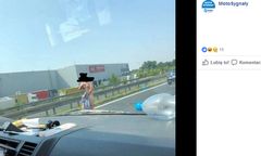 Nagi mężczyzna na S11 biegał po autach. Akcja służb