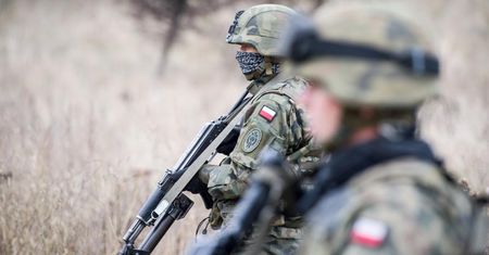 Żołnierze pójdą polować na dziki. Najbardziej kuriozalny pomysł rolniczego lobby powrócił