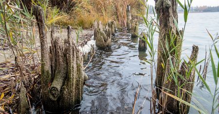 Kujawsko-pomorskie. Archeologiczne odkrycie w Jeziorze Gopło