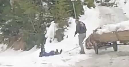 Fiakier z Żywca dostał od górala z Orawy. Nagrali, jak znęcał się nad koniem