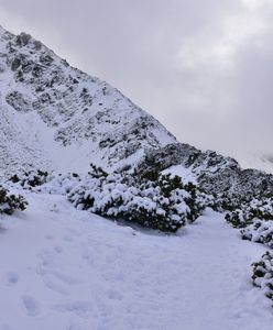 Karkonosze. Zagrożenie lawinowe, ale turystom to nie przeszadza