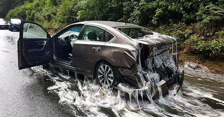 Samochody skąpane w... lepkim śluzie. Wypadek ciężarówki z węgorzami