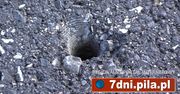 Śmiertelne pułapki na drodze