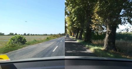 Droga z Sulechowa do Trzebiechowa ogołocona z drzew. "Beznadzieja i oszołomstwo"
