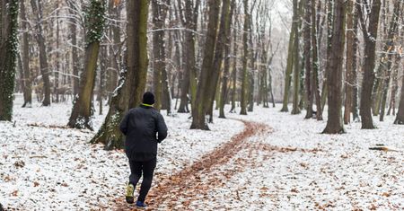 Psy dotkliwie pogryzły biegacza w Łodzi. Zgłosiła się ich właścicielka