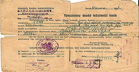 Dowód tożsamości konia