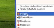 Gadu-Gadu zmienia status na "niewidoczny". Firma wycofuje się z kupna