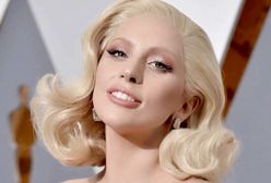 Lady Gaga stała się inspiracją dla naukowców. Nazwali owada jej imieniem