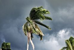 Polak na Karaibach: "Wszyscy się przygotowywali. Mieszkańcy wiedzieli, co się może wydarzyć"