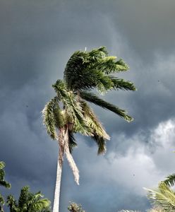 Polak na Karaibach: "Wszyscy się przygotowywali. Mieszkańcy wiedzieli, co się może wydarzyć"