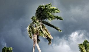 Polak na Karaibach: "Wszyscy się przygotowywali. Mieszkańcy wiedzieli, co się może wydarzyć"