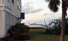 Tragedia w Hollywood. Ofiary Irmy w domu opieki