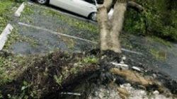 Po przejściu huraganu