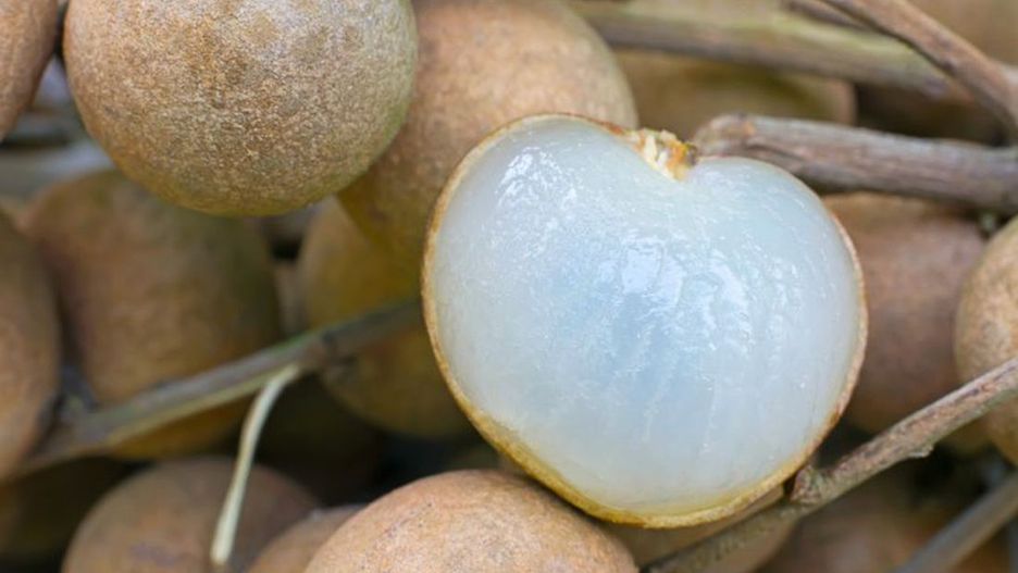 Longan to bliski krewny liczi