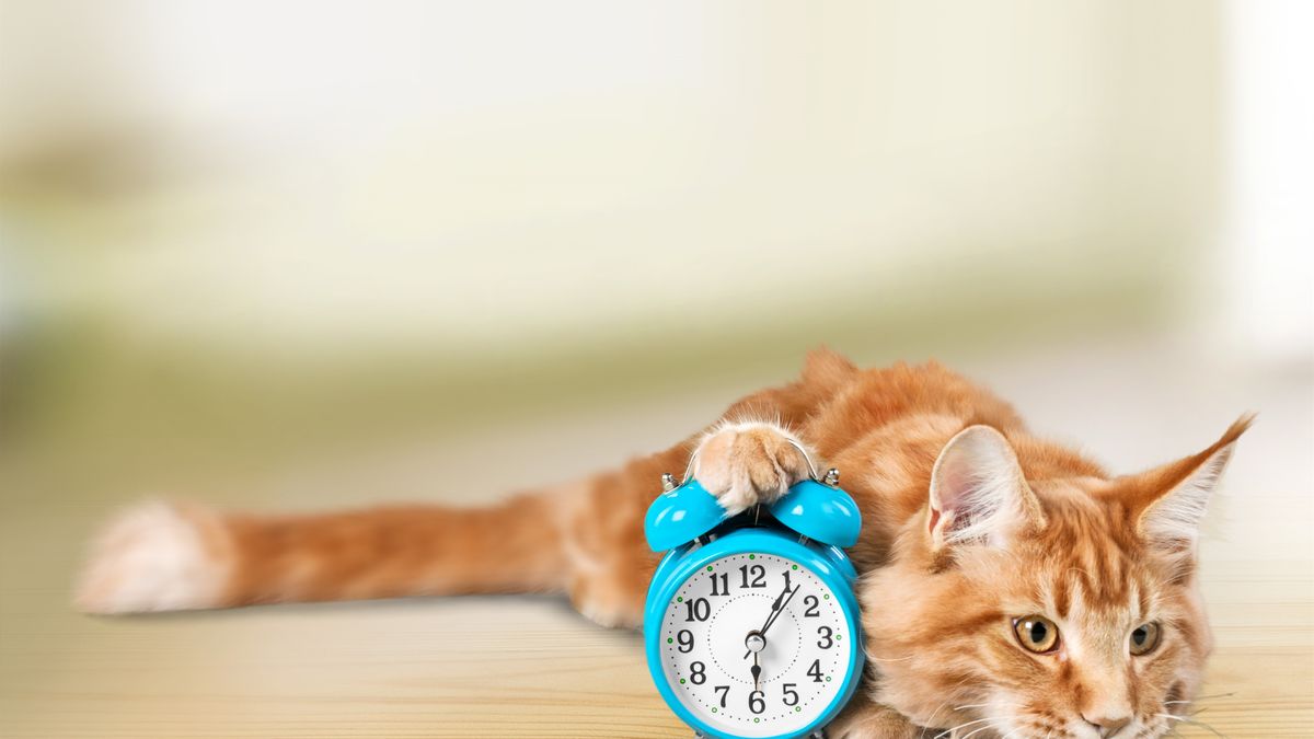 Zmiana czasu zostanie wycofana dopiero w 2021 roku? Jest projekt komisji europejskiej