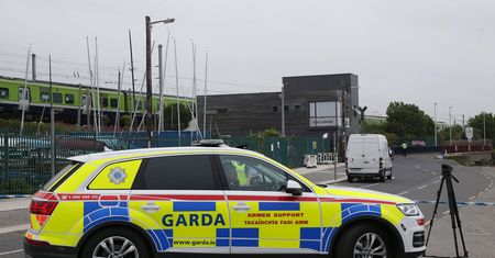 Irlandia. Syn odciął Polce głowę siekierą. "Była cudowną kobietą"