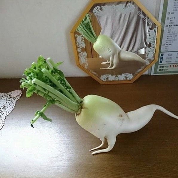 uglyfruitandveg / instagram