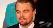 Leonardo DiCaprio ma gest! Przeznaczył na ratowanie środowiska ogromną sumę pieniędzy