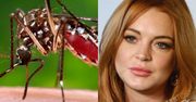Lindsay Lohan ofiarą wirusa czikungunia