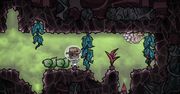 Kosmiczna kolonia nareszcie na pełnym gazie - Oxygen Not Included opuściło wczesny dostęp