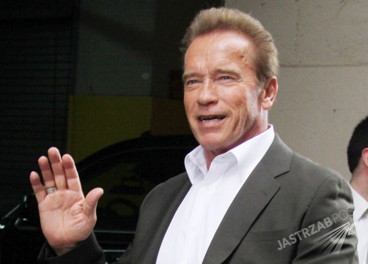 Arnold Schwarzenegger wygrał internet! Riposta rozłożyła Polaka na łopatki [WIDEO]