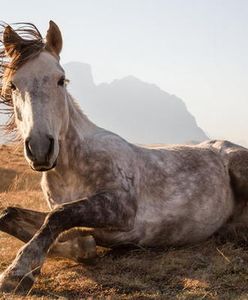 Konkurs National Geographic Traveler Photo 2014