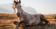Konkurs National Geographic Traveler Photo 2014