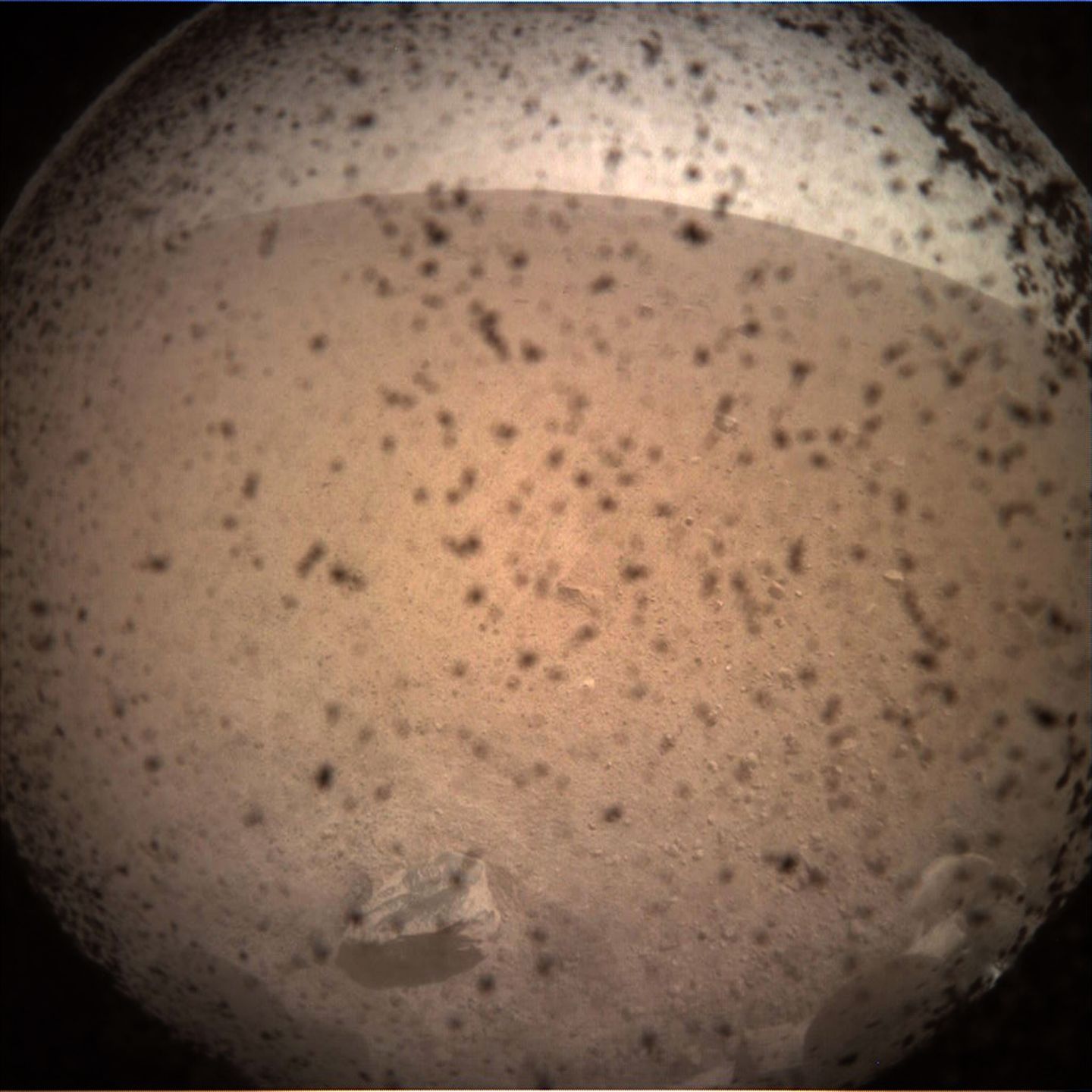 Sonda InSight wylądowała na Marsie. NASA publikuje pierwsze zdjęcia! 