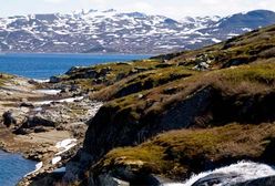 Praca w Norwegii - ważne informacje