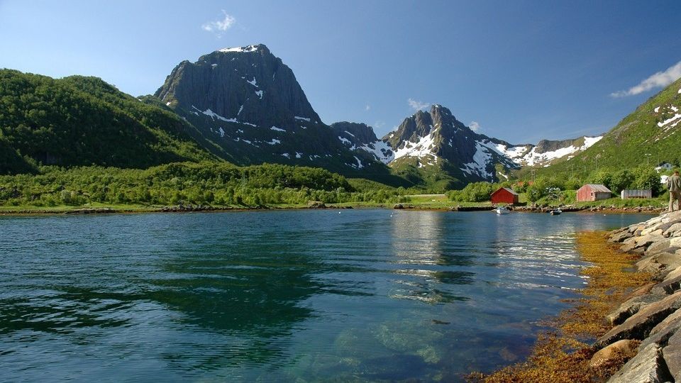 lofoty norwegia