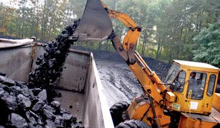 Latem warto pomyśleć o ogrzewaniu. Zakup węgla może się teraz opłacać