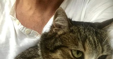 Szczygieł adoptował porzuconą kotkę. To, co napisał chwyta za serce