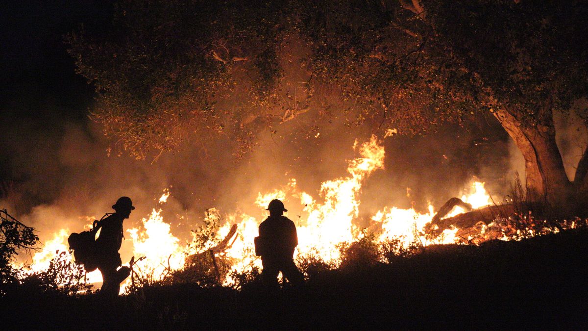 Mężczyzna prawdopodobnie dopuścił się kilku podpaleń jednego wieczora