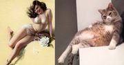 Nowa moda na Instagramie. Koty pozują jak pin-up girls