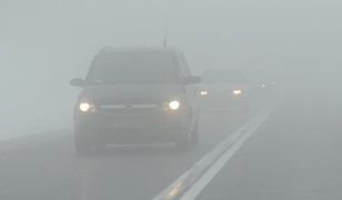 Jak jeździć we mgle?