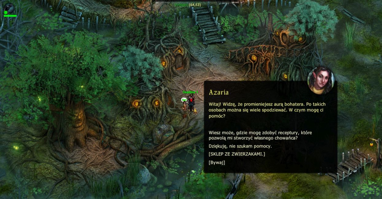 Obraz