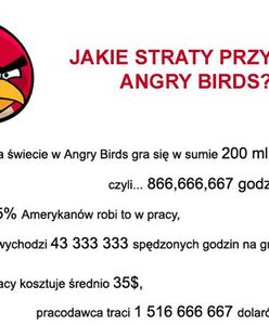 Niewiarygodne jakie straty przynoszą wściekłe ptaki!