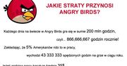 Niewiarygodne jakie straty przynoszą wściekłe ptaki!