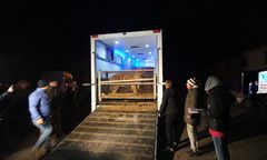 Poznań. Rzeczniczka zoo o tygrysach. "Jesteśmy przekonani, że doszło do przemytu"