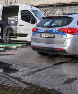 Wirus ptasiej grypy się rozprzestrzenia. Kolejne nowe ogniska