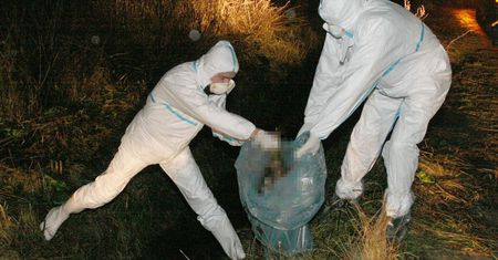Ptasia grypa w Azji. Pojawiły się 4 nowe ogniska epidemiczne