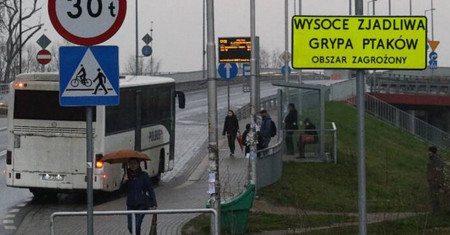 Wrocław: Ognisko ptasiej grypy pod miastem