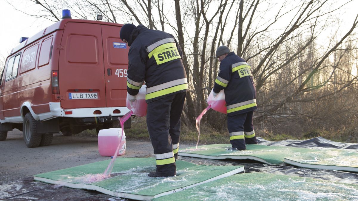 Uscimow, Ptasia grypa na Lubelszczyznie
